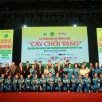 Cay choi vang