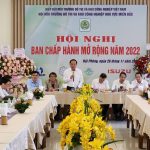 Hoi nghi 3