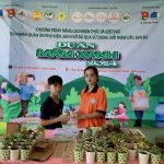 doi sach lay mam xanh 6